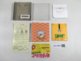 DL1091 Nazoler Land Dai 3 Go BOXED Famicom Disk Japan