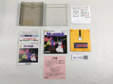 DL1100 Nazo no Murasame Jo BOXED Famicom Disk Japan