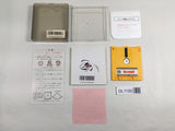 DL1100 Nazo no Murasame Jo BOXED Famicom Disk Japan