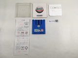 DL1110 Golf U.S. Course Famicom Disk Japan