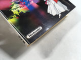 DL1111 Nazo no Murasame Jo Famicom Disk Japan