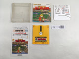 DL1112 The Legend Of Zelda 1 Famicom Disk Japan