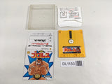 DL1153 Pro Wrestling Famicom Wrestling Association Famicom Disk Japan