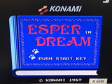 DL1188 Esper Dream Famicom Disk Japan