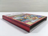 DL1212 Paper Mario The Thousand Year Door BOXED GameCube Japan