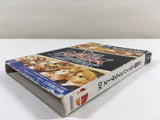 DL1233 Super Smash Bros. Melee DX BOXED GameCube Japan