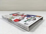 DL1438 Mario Superstar Baseball Super Mario Stadium Miracle BOXED GameCube Japan