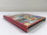 DL1441 Paper Mario The Thousand Year Door BOXED GameCube Japan