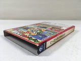 DL1441 Paper Mario The Thousand Year Door BOXED GameCube Japan