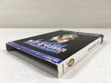 DL1447 Luigi's Mansion BOXED GameCube Japan