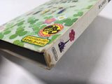 DL1451 Pikmin 2 BOXED GameCube Japan