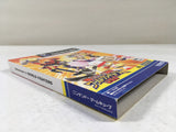 DL1464 DreamMix TV World Fighters BOXED GameCube Japan