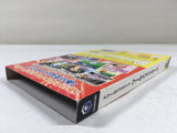 DL1464 DreamMix TV World Fighters BOXED GameCube Japan