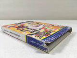 DL1465 DreamMix TV World Fighters BOXED GameCube Japan