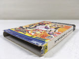 DL1465 DreamMix TV World Fighters BOXED GameCube Japan