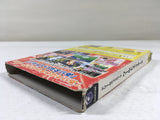 DL1465 DreamMix TV World Fighters BOXED GameCube Japan