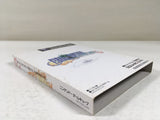 DL1469 Final Fantasy Crystal Chronicles BOXED GameCube Japan