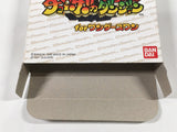 DL1541 Chocobo no Fushigi na Dungeon BOXED Wonder Swan Bandai Japan