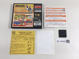 DL1949 Mario & Luigi Bowser's Inside Story BOXED Nintendo DS Japan