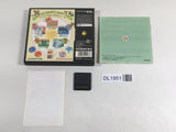DL1951 Yoshi's Island DS BOXED Nintendo DS Japan