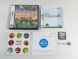 DL1970 Animal Crossing Wild World BOXED Nintendo DS Japan