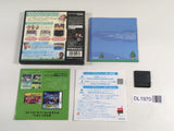 DL1970 Animal Crossing Wild World BOXED Nintendo DS Japan