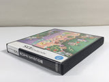 DL1970 Animal Crossing Wild World BOXED Nintendo DS Japan