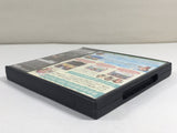 DL1970 Animal Crossing Wild World BOXED Nintendo DS Japan