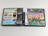 DL1970 Animal Crossing Wild World BOXED Nintendo DS Japan