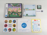 DL1971 Animal Crossing Wild World BOXED Nintendo DS Japan