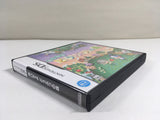 DL1971 Animal Crossing Wild World BOXED Nintendo DS Japan