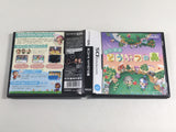 DL1971 Animal Crossing Wild World BOXED Nintendo DS Japan