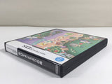 DL1972 Animal Crossing Wild World BOXED Nintendo DS Japan