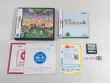 DL1973 Animal Crossing Wild World BOXED Nintendo DS Japan