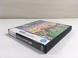 DL1973 Animal Crossing Wild World BOXED Nintendo DS Japan