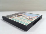 DL1973 Animal Crossing Wild World BOXED Nintendo DS Japan