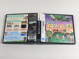 DL1973 Animal Crossing Wild World BOXED Nintendo DS Japan