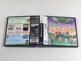 DL1974 Animal Crossing Wild World BOXED Nintendo DS Japan