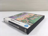 DL1975 Animal Crossing Wild World BOXED Nintendo DS Japan