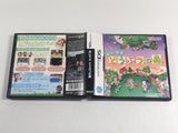 DL1975 Animal Crossing Wild World BOXED Nintendo DS Japan