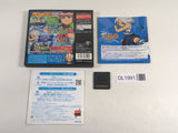 DL1991 Inazuma Eleven 2 Blizzard BOXED Nintendo DS Japan