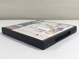 DL2014 Poupee Girl BOXED Nintendo DS Japan