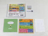DL2028 Animal Crossing New Leaf BOXED Nintendo 3DS Japan