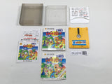 DL2216 Doki Doki Panic Dream Factory Heartbeat BOXED Famicom Disk Japan