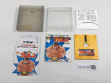 DL2228 Pro Wrestling Famicom Wrestling Association BOXED Famicom Disk Japan