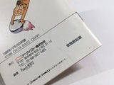 DL2234 Pachinko Grand Prix Famicom Disk Japan