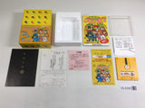 DL2308 Kieta Princess BOXED Famicom Disk Japan