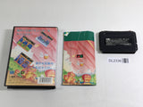 DL2336 Wonder Boy III Monster Lair BOXED Mega Drive Genesis Japan