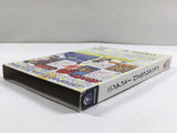 DL2422 Nintendo Puzzle Collection BOXED GameCube Japan