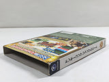 DL2462 Donkey Kong Jungle Beat BOXED GameCube Japan